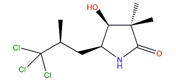 Dysidamide F